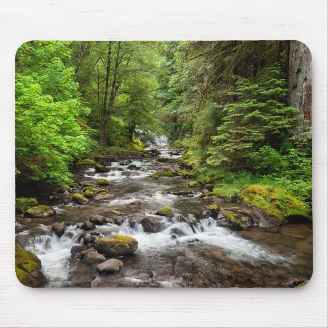 Siuslaw National Forest | Sweet Creek Mouse Pad (Front)