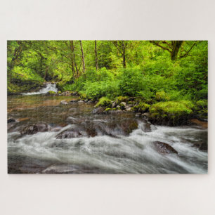 Siuslaw National Forest, Sweet Creek, Oregon Jigsaw Puzzle