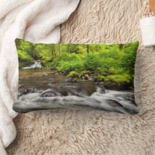 Siuslaw National Forest, Sweet Creek, Oregon Lumbar Cushion
