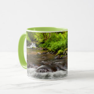 Siuslaw National Forest, Sweet Creek, Oregon Mug