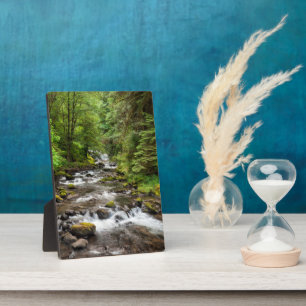 Siuslaw National Forest   Sweet Creek Plaque