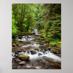Siuslaw National Forest Sweet Creek Poster