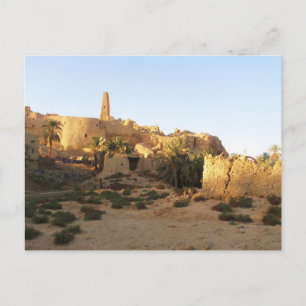 Siwa Temple of Amun - Oracle of Siwa Postcard