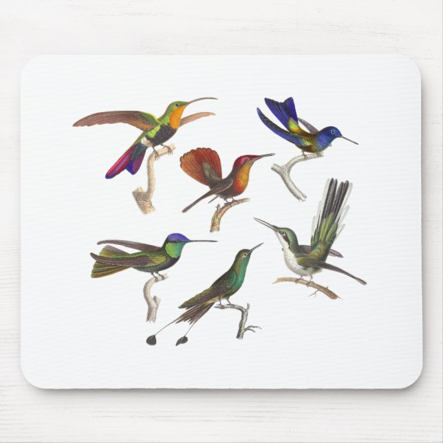 Six Colourful Hummingbirds Mouse Pad (Front)