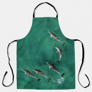 SIX DOLPHINS AT CALM WATER APRON