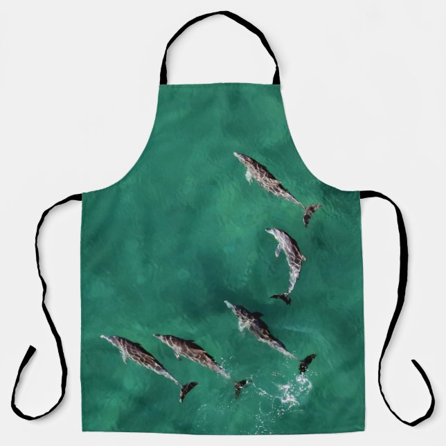 SIX DOLPHINS AT CALM WATER APRON (Front)