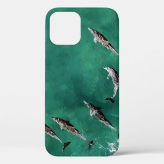 SIX DOLPHINS AT CALM WATER iPhone 12 CASE