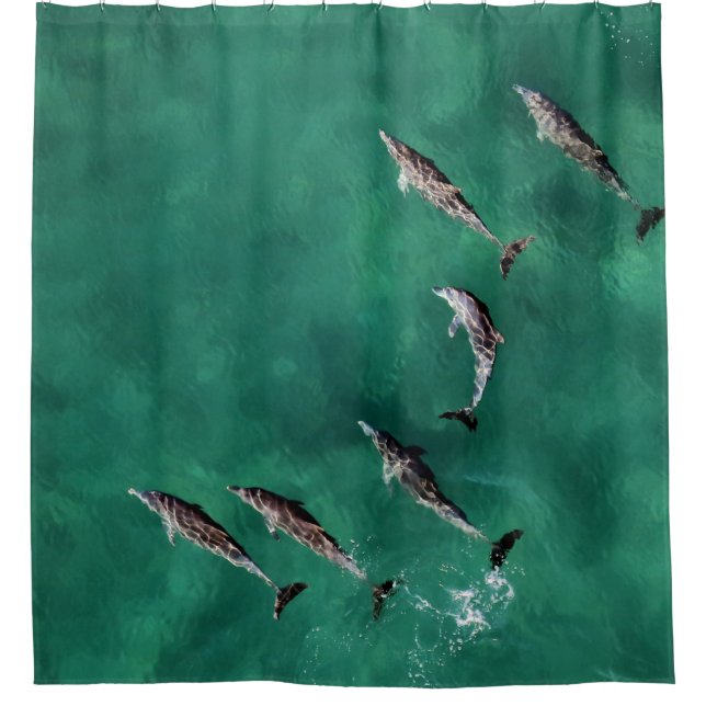 SIX DOLPHINS AT CALM WATER SHOWER CURTAIN (Front)
