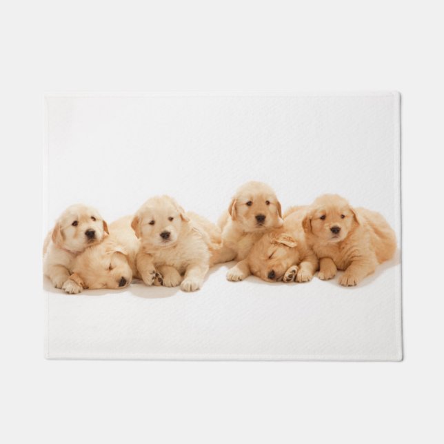 Six Golden Retriever Puppies Doormat (Front)