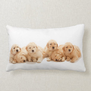 Six Golden Retriever Puppies Lumbar Cushion