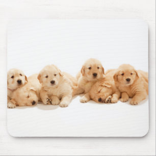 Six Golden Retriever Puppies Mouse Pad