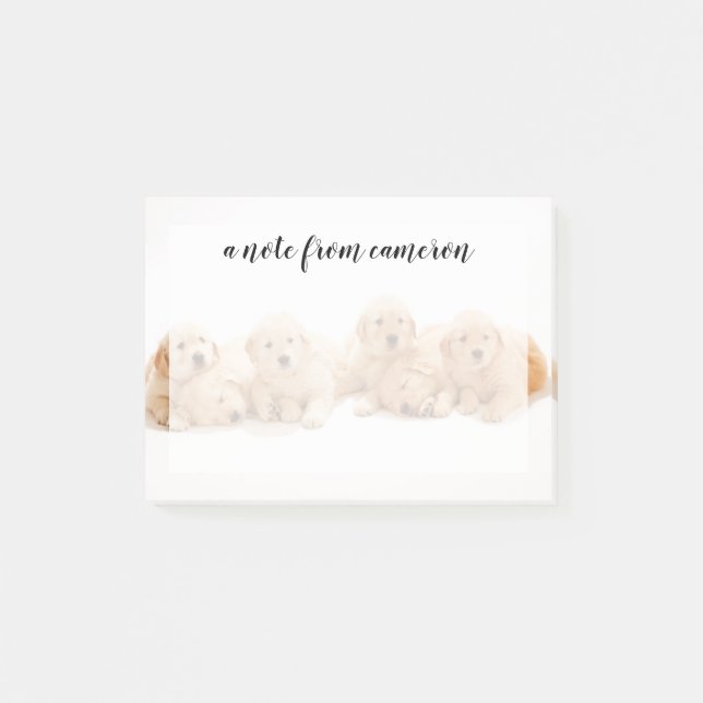 Six Golden Retriever Puppies Post-it Notes (Front)