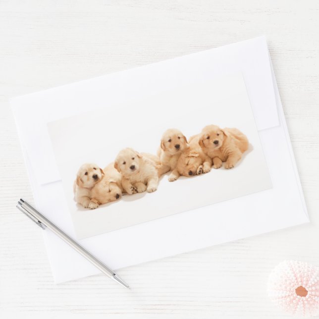 Six Golden Retriever Puppies Rectangular Sticker (Envelope)