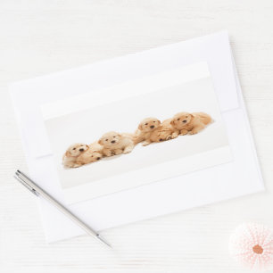 Six Golden Retriever Puppies Rectangular Sticker