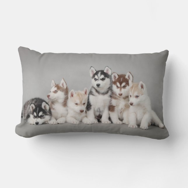 Six huskies lumbar cushion (Front)