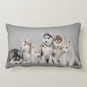 Six huskies lumbar cushion