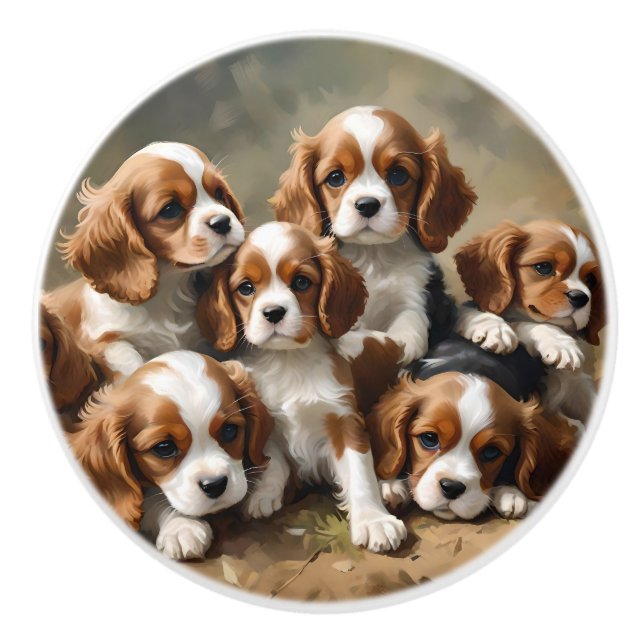 Six King Cavalier Spaniel Puppies, Ceramic Knob (Front)