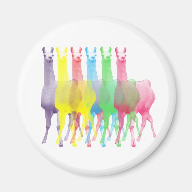 six lamas in six llama colours magnet (Front)
