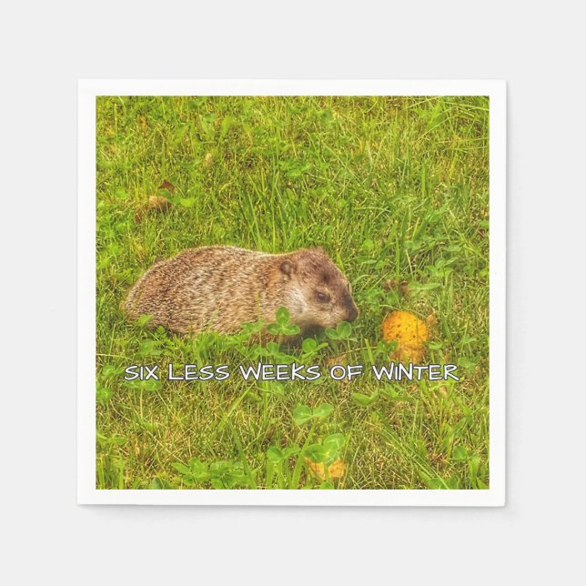 Six less weeks of winter napkins (Front)