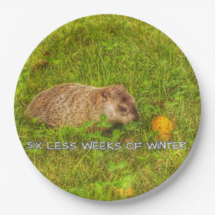 Six less weeks of winter plates