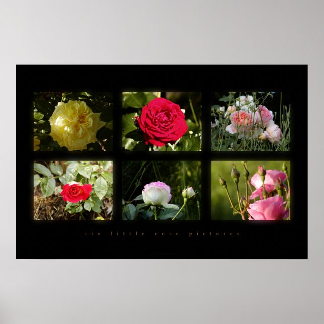 six little rose pictures poster (Front)