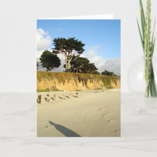 Six Posts and a Shadow Card