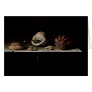 Six Shells on a Stone Shelf, 1696