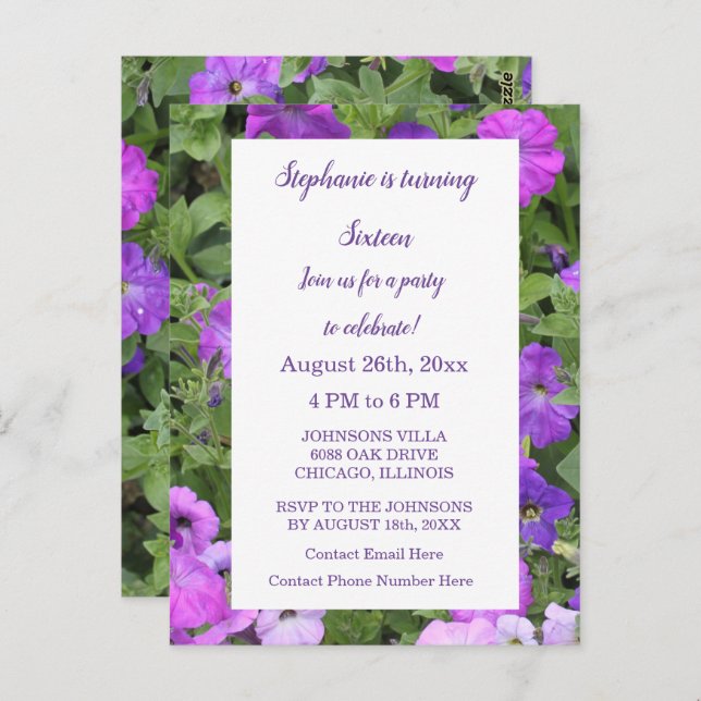 Sixteenth Birthday Floral Pink Purple Petunia 2023 Postcard (Front/Back)