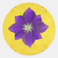 Sixth Chakra Gift – Third Eye