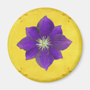 Sixth Chakra Gift – Third Eye Magnet