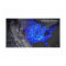 Sixty-One Years of Tornado Tracks