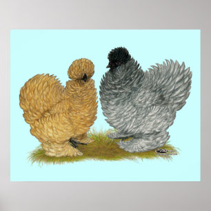 Sizzle Chickens Poster