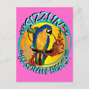 SIZZLIN PARROTS POSTCARD