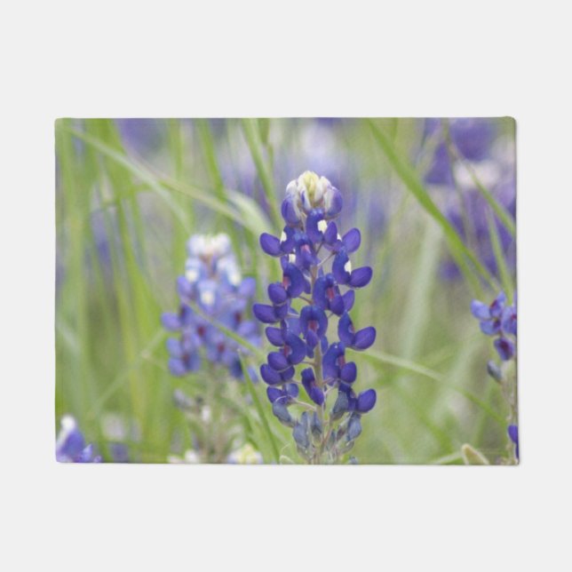 SJefferson Texas Bluebonnets Series #1 Doormat (Front)