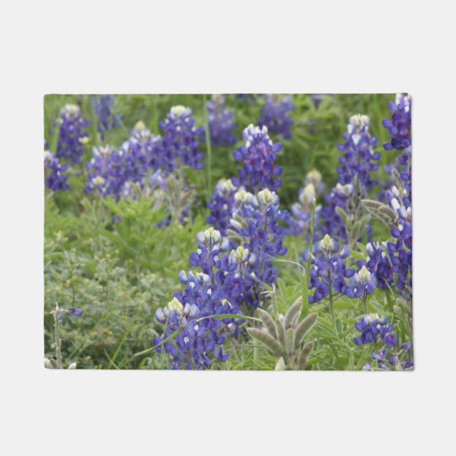 SJefferson Texas Bluebonnets Series #2 Doormat (Front)