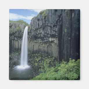 Skaftafell National Park, Svartifoss waterfall, Magnet