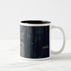 Skaftafell National Park, Svartifoss waterfall, Two-Tone Coffee Mug