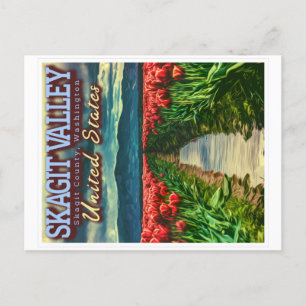 SKAGIT VALLEY - TULIP FIELDS - SKAGIT WASHINGTON POSTCARD