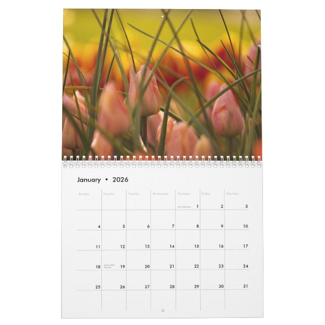 SKAGIT VALLEY TULIPS. CALENDAR (Jan 2026)