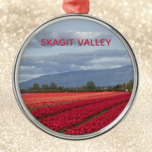 Skagit Valley Washington State Gorgeous Tulip
