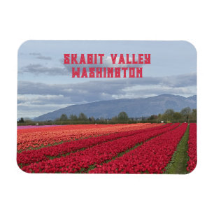 Skagit Valley Washington State Tulip Field Fridge Magnet