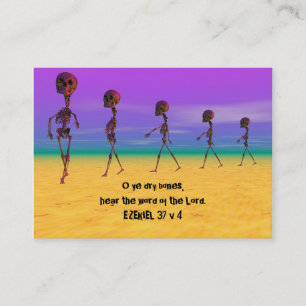 Skallywags Business Card