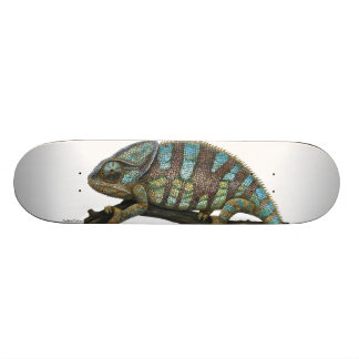 Skate chameleon skateboard
