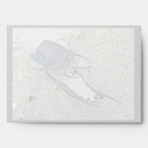 Skate Egg Cases on the Beach Envelopes