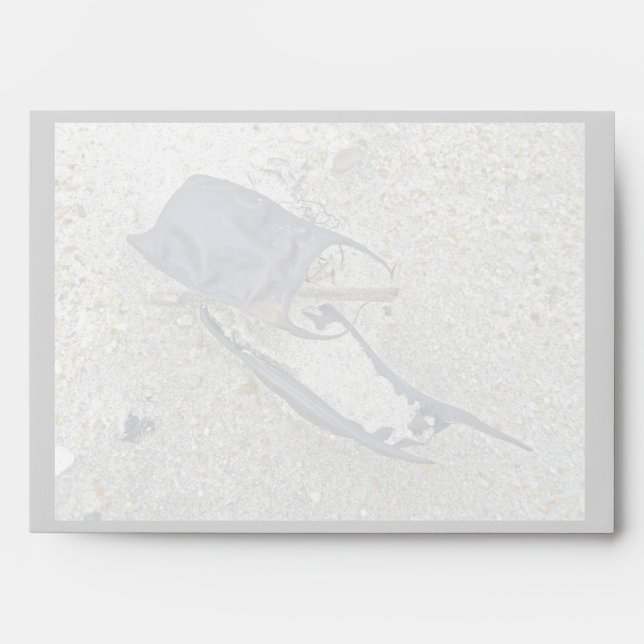 Skate Egg Cases on the Beach Envelopes (Front)
