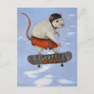 Skate Rat Postcard