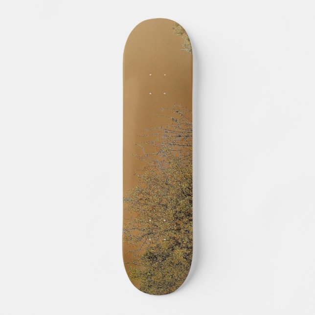 Skateboard (Front)
