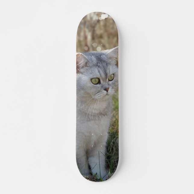 Skateboard Atento British short-haired cat (Front)
