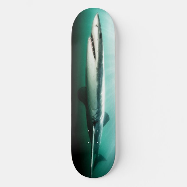 Skateboard  BEAUTIFUL Shark  Predator. (Front)