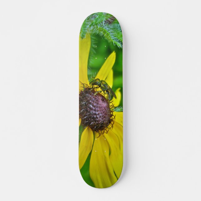 Skateboard Bee and Black Eyed Susan (Front)